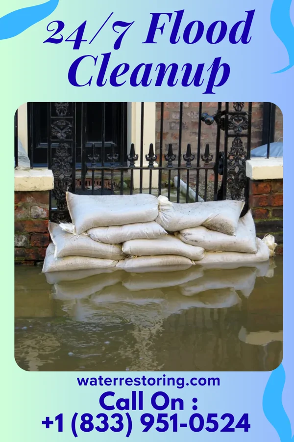 24/7 Flood Cleanup in Randalia, IA