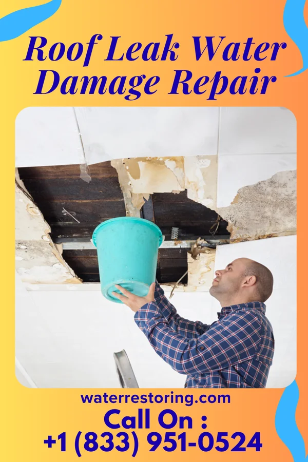 Roof Leak Water Damage Repair in Randalia, IA