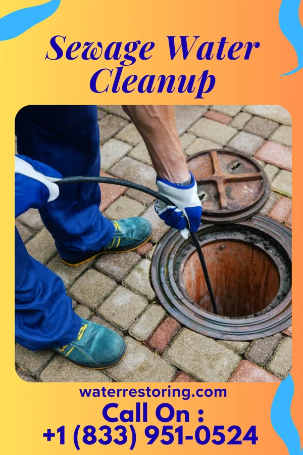 Sewage Water Cleanup in Randalia, IA